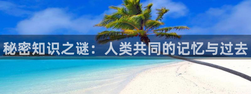 一点文学官网：秘密知识之谜：人类共同的记忆与过去
