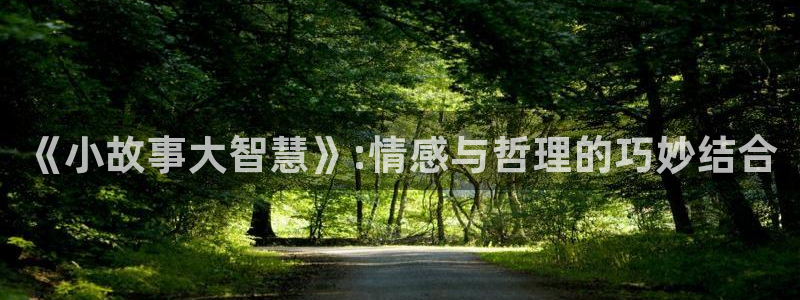 一点文学网站txt：《小故事大智慧》:情感与哲理的巧妙结合